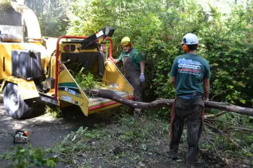 tree services Harvey